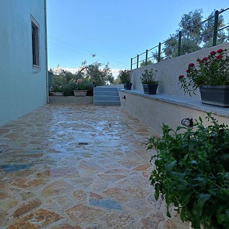 Armonia Villa Lefkada Kariótai 외부 사진
