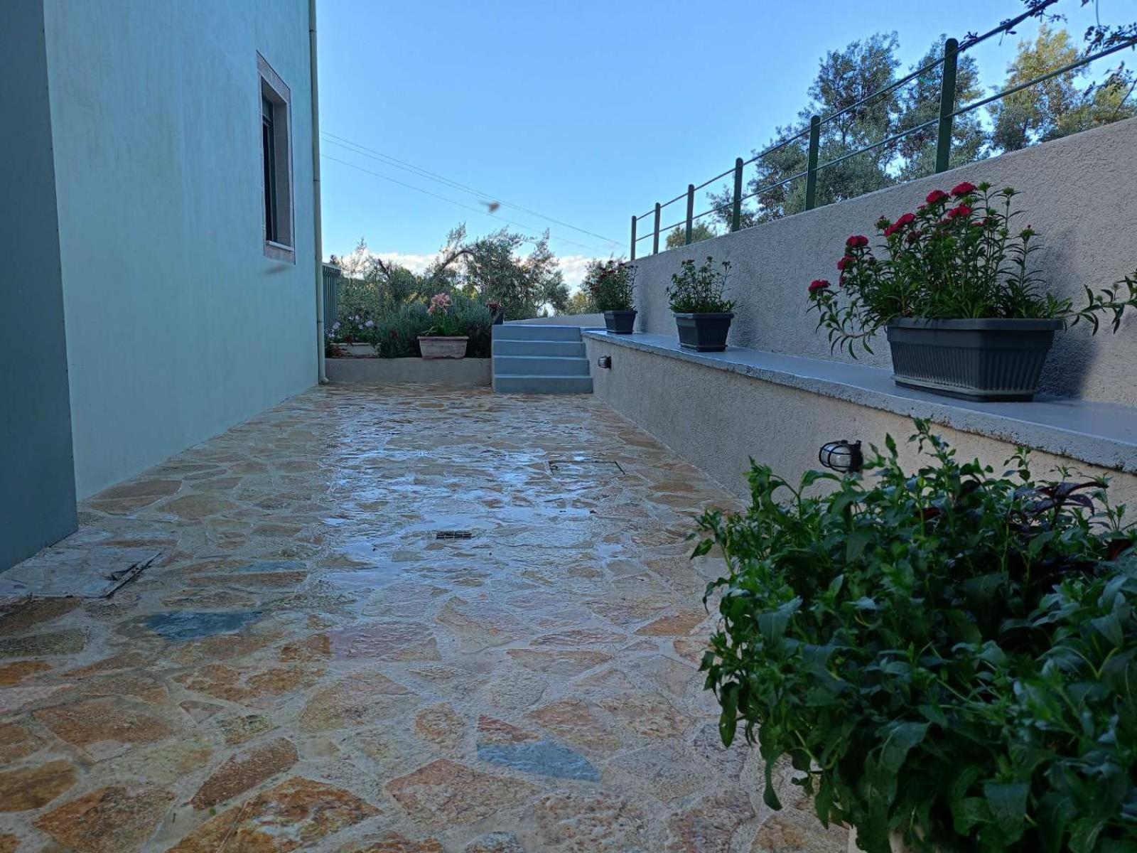 Armonia Villa Lefkada Kariótai 외부 사진
